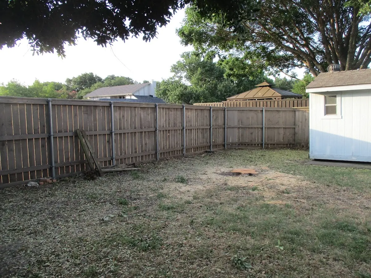 Cleared yard after professional tree removal in Cannon Afb
